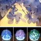 Flower Essential Oil Diffuser and beautiful night light